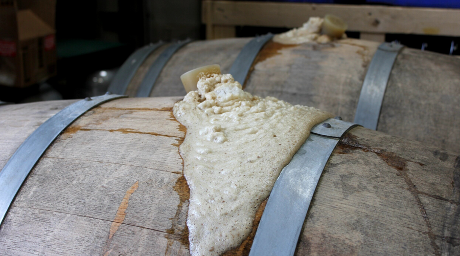 MIXED FERMENTATION