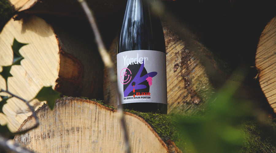 Natures Elixir: The Tale of a Sour Birch Water Porter