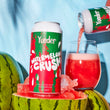 Load image into Gallery viewer, Watermelon Crush - 440ml can