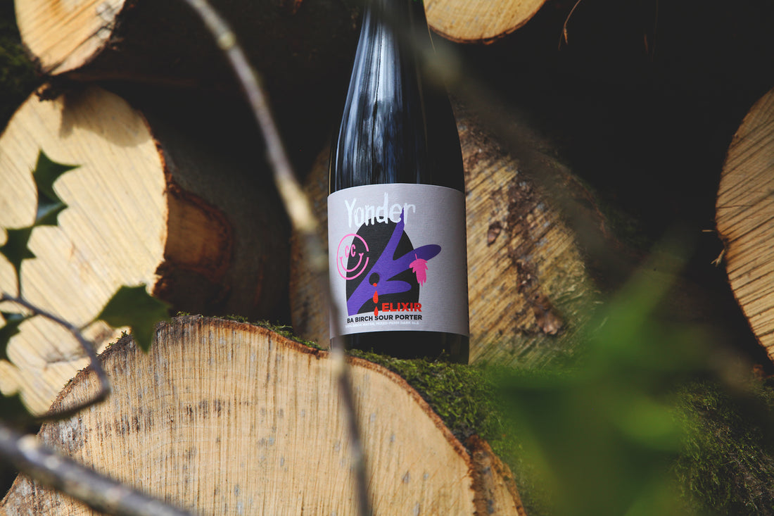 OLD: Natures Elixir: The Tale of a Sour Birch Water Porter