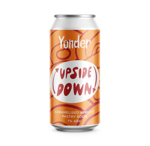 Upside Down - 440ml can