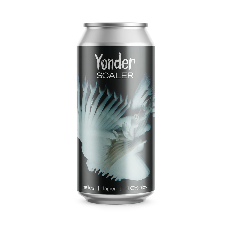 Scaler (Lager) - 440ml can