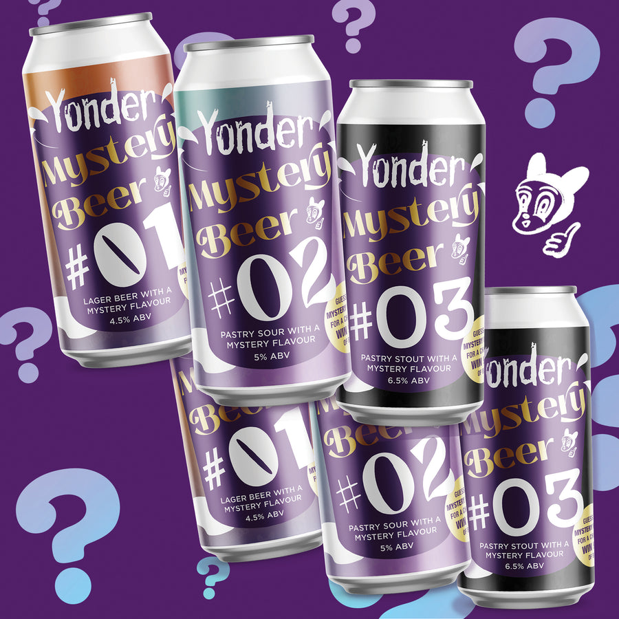 Mystery Beer Bundle - 6x 440ml can